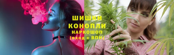 Альфа ПВП Белокуриха