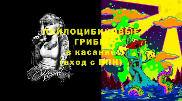 Альфа ПВП Белокуриха